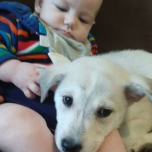 Meet your Posher, Faith